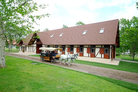 Northern Horse Park