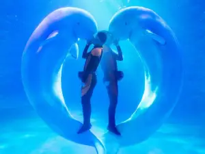 Qingdao Polar Ocean World