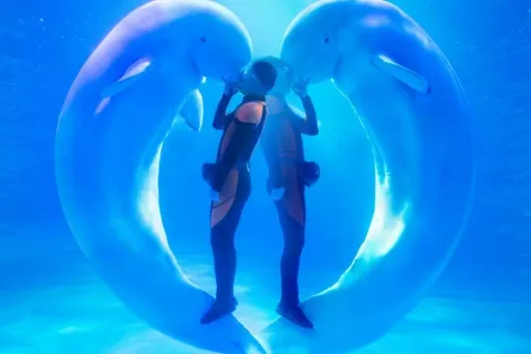 칭다오 극지해양세계