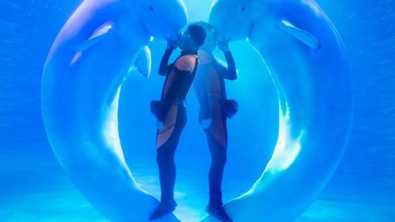 Qingdao Polar Ocean World