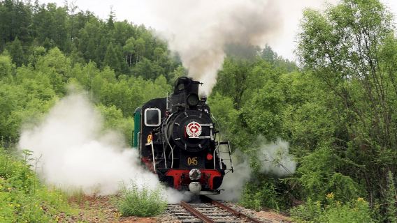 Alihe National Forest Park