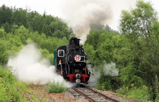 相思谷原始林風景區門票+觀光車成人
