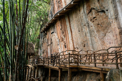 Cangyuan Rock Paintings