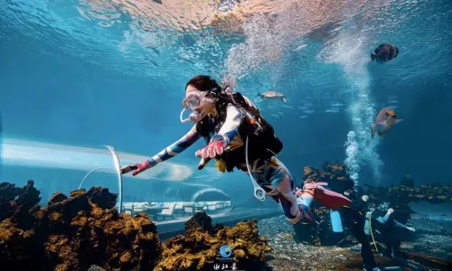 Sanya Tedis Diving Center (Tianfang Intercontinental Store)