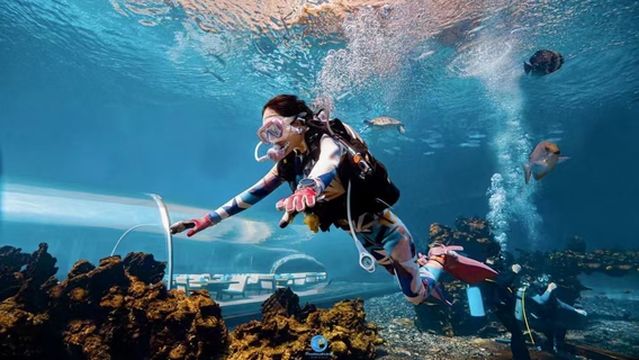 Sanya Tedis Diving Center (Tianfang Intercontinental Store)