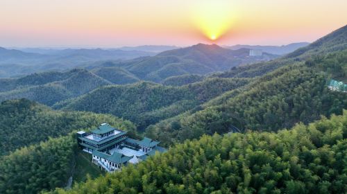 桃花江竹海景區