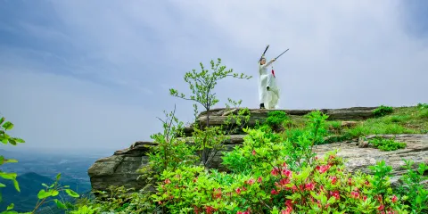 田王寨景區單程景區觀光車大小同價