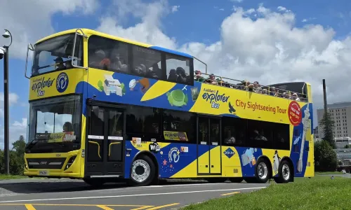 Auckland Explorer Bus