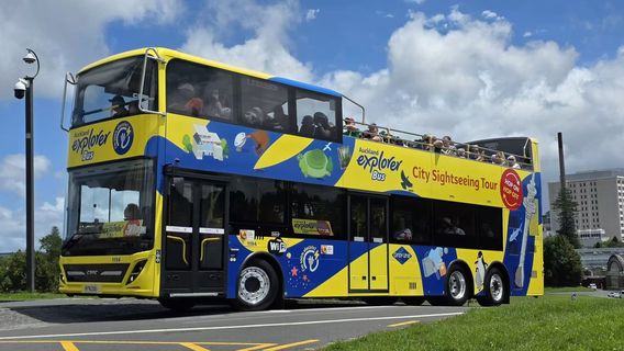 Auckland Explorer Bus