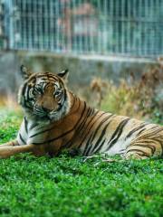 東莞香市動物園