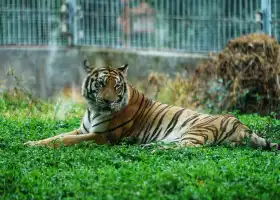 香市動物園