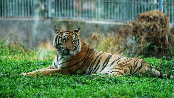 Dongguan Xiangshi Zoo