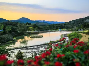 Jingshan Farm