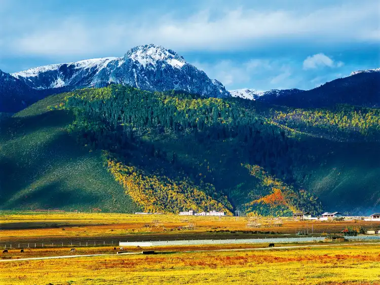 Hotel dekat Lanyue Valley Shika Scenic Area