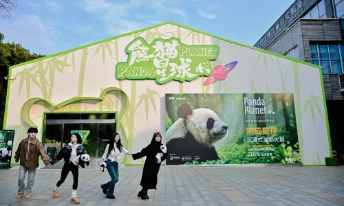 熊貓星球沉浸式光影大展-成都首館