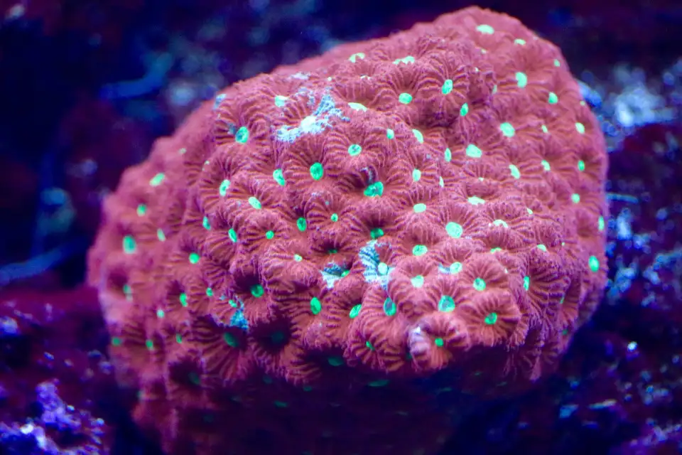 4_The Florida Aquarium