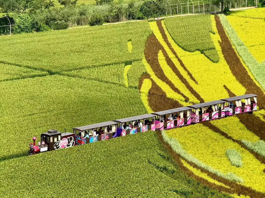 3_稻夢空間