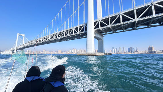 Crazy Yacht Sea Fishing Club