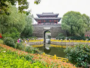 dong e zhong yi yao wen hua lv you qu