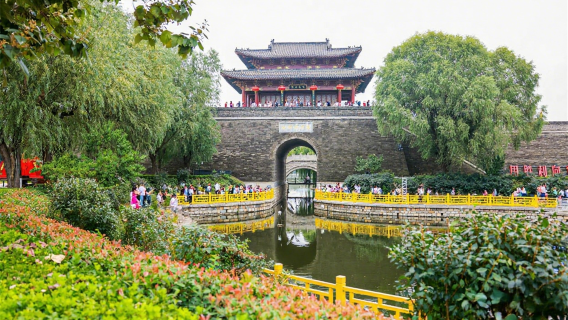 dong e zhong yi yao wen hua lv you qu