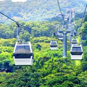 自然及野生動物