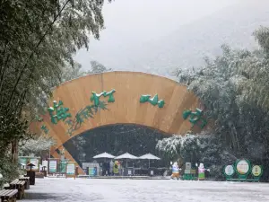 Tianmu Lake Nanshan Bamboo Sea Scenic Spot
