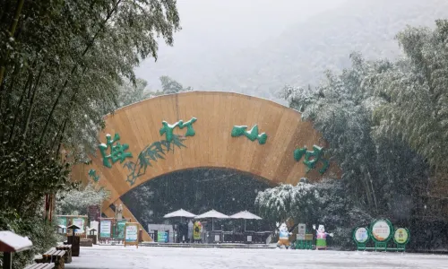 Tianmu Lake Nanshan Bamboo Sea Scenic Spot
