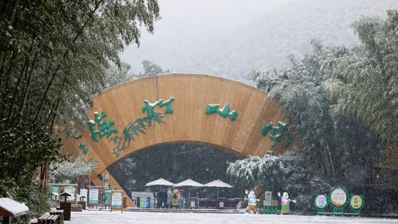 Tianmu Lake Nanshan Bamboo Sea Scenic Spot