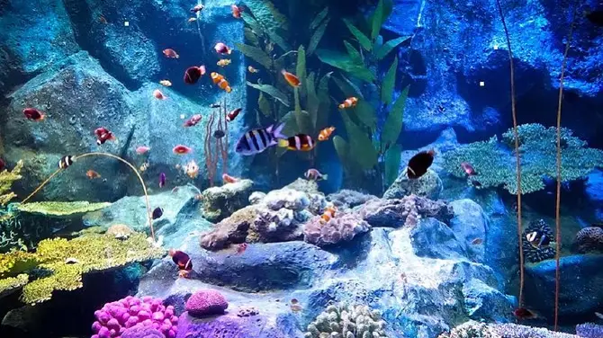 5_芭達雅海底世界