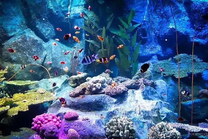 4_芭堤雅海底世界