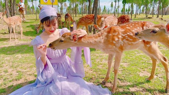 Fuxi Mountain Tourist Area