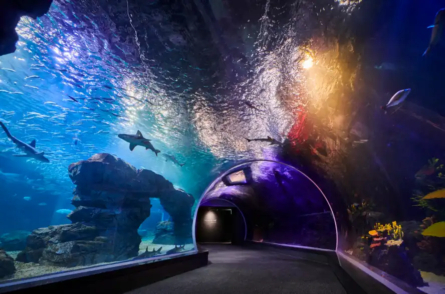 Hotels near Aqua Planet, Gwanggyo