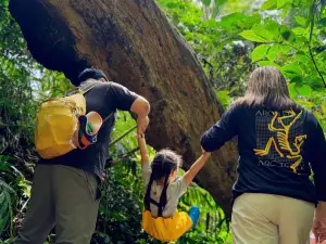 Xishuangbanna Jinuo Mountain Rainforest Hiking