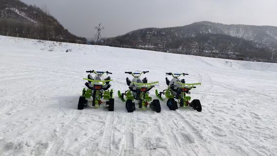 Weixin Ice and Snow Carnival