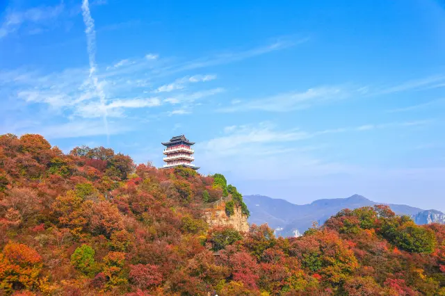 Fall Foliage Sightseeing in Jiaozuo