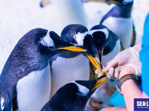 SEA LIFE London Aquarium