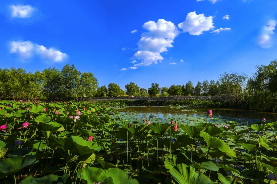 Flüge Kuwait Jinzhou