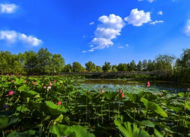Jinzhou