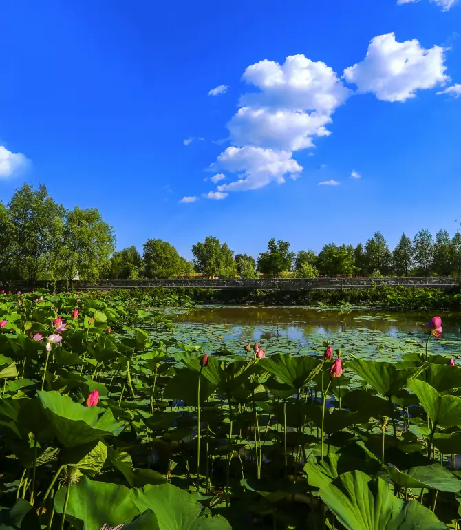Jinzhou