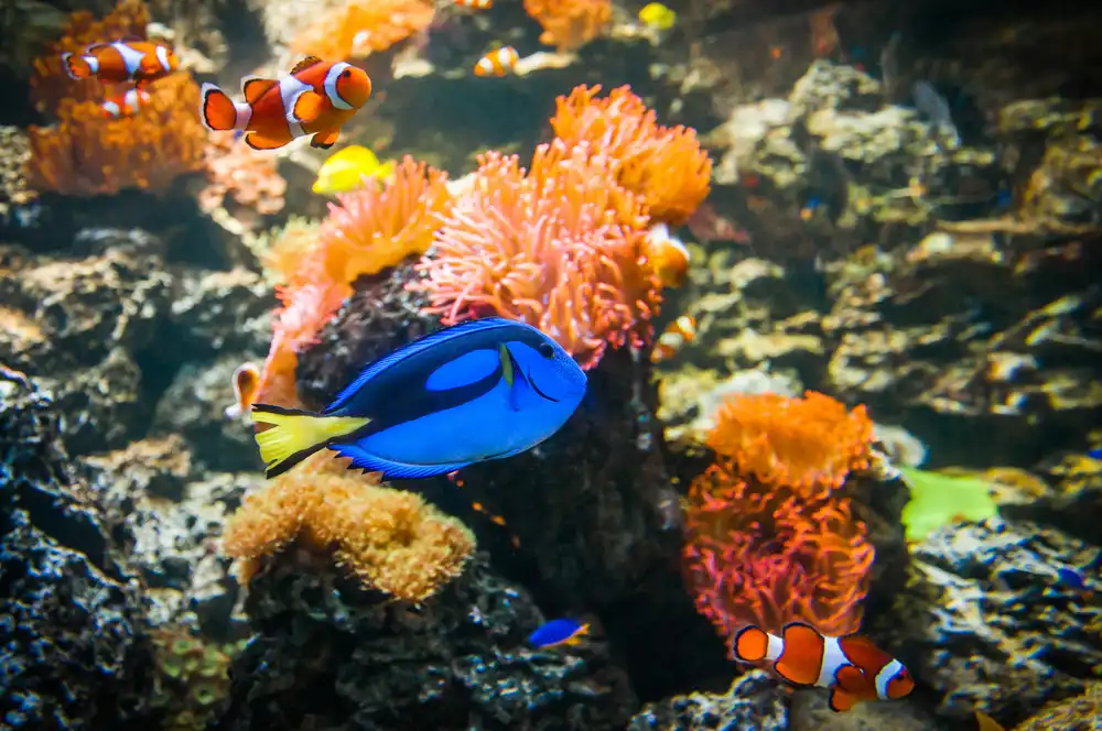 Hotels near Sea Life Munich
