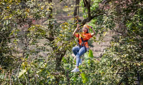 Pongyang Jungle Coaster & Zipline