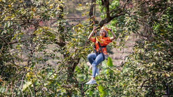 Pongyang Jungle Coaster & Zipline