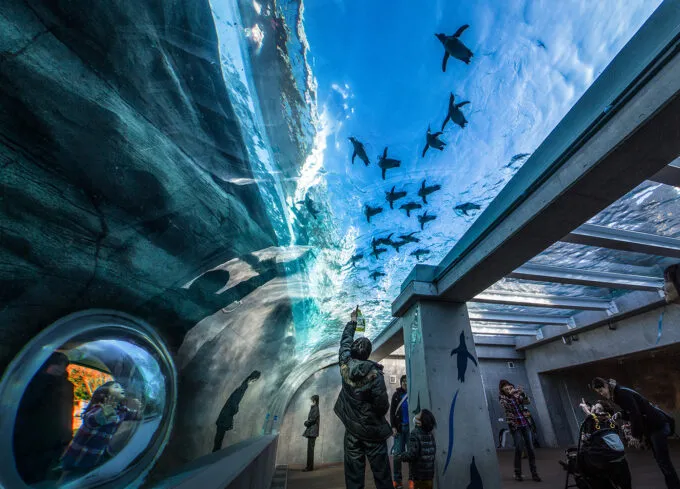 2_九十九島水族館