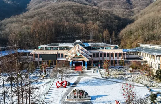 神農架中和國際滑雪場單日滑雪票+滑雪11件套裝+木魚鎮來回景交車票大小同價