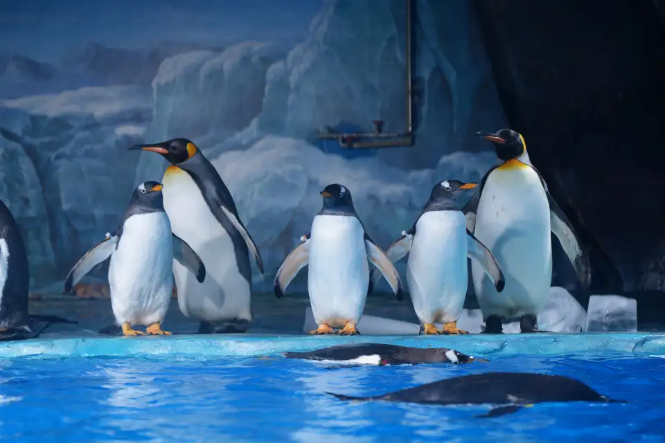 5_Xiaomeisha Sea World