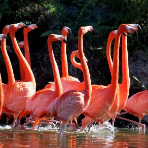 Zoo Miami