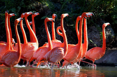 Zoo Miami