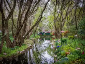 上海共青森林公園