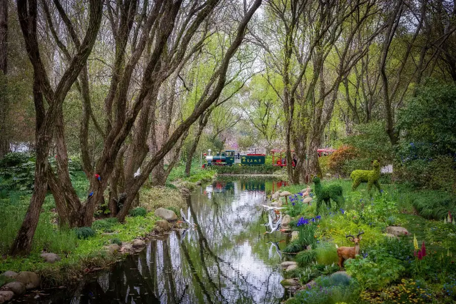 上海共青森林公園