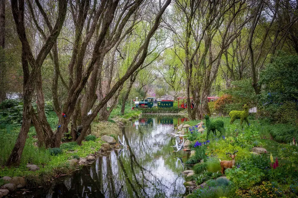 2_上海共青森林公園